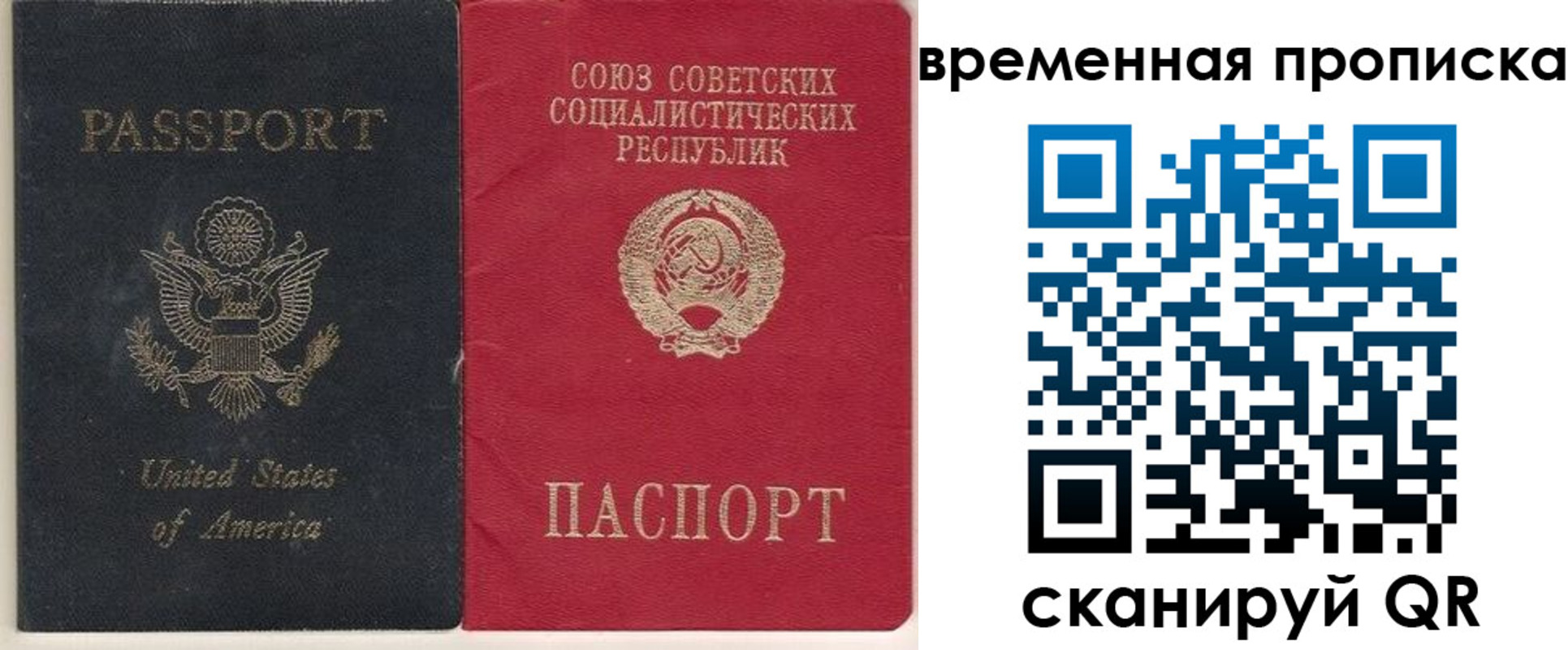 прописка для школы в Заинске